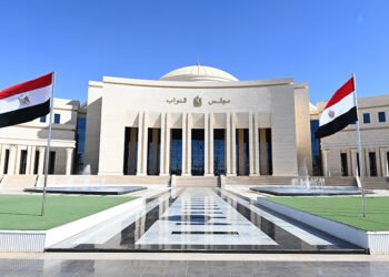 البرلمان المصري وتأجيل التفويض العسكري: ميزان الدستور يفرض التريث والنقاش المتزن